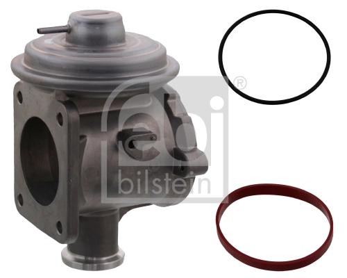 EGR Valve